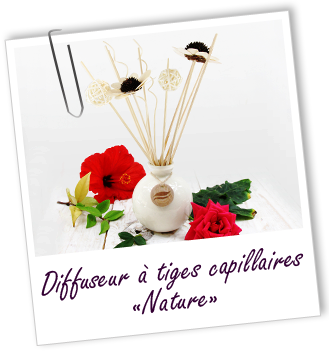 Diffuseur de senteurs à tiges 