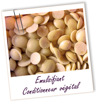 Emulsifiant Conditionneur végétal Aroma-Zone Emulsifiant Conditionneur végétal Aroma-Zone