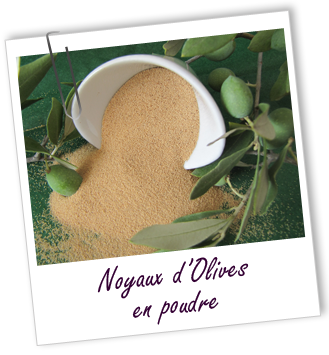Exfoliant Noyaux d'Olives en poudre Aroma-Zone