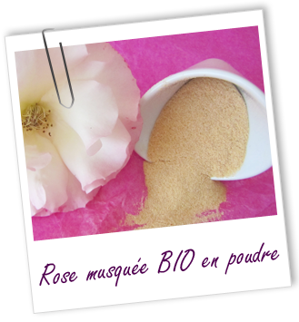 Exfoliant Rose musquée BIO en poudre Aroma-Zone