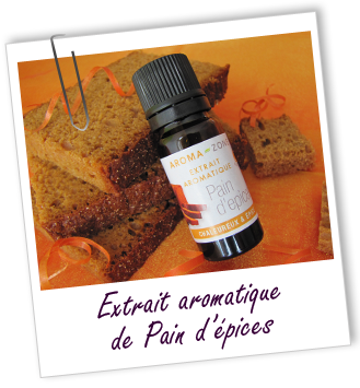 Extrait aromatique naturel Pain d'épices Aroma-Zone