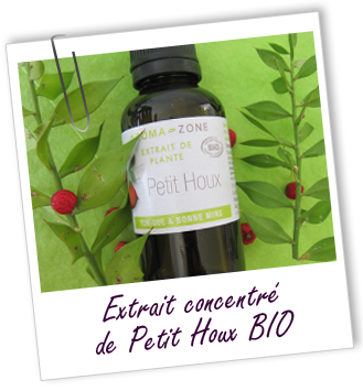 Extrait Petit Houx BIO Aroma-Zone