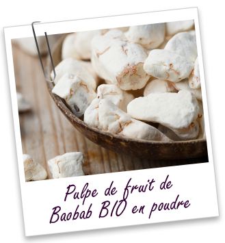 Poudre de pulpe de Baobab BIO Aroma-Zone
