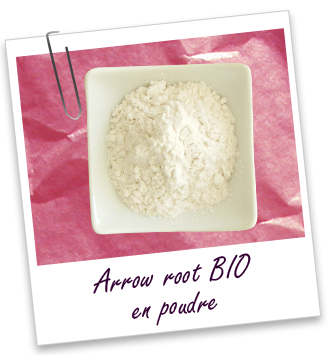 Poudre Arrow root BIO Aroma-Zone