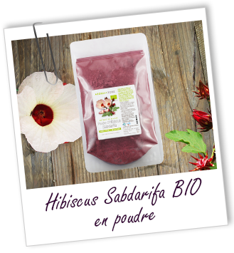 Poudre ayurvédique Hibiscus BIO Aroma-Zone