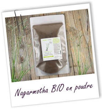 Poudre ayurvédique Nagarmotha BIO Aroma-Zone Poudre ayurvédique Nagarmotha BIO Aroma-Zone