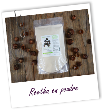 Poudre ayurvédique Reetha BIO Aroma-Zone Poudre ayurvédique Reetha BIO Aroma-Zone