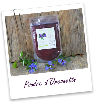 Colorant végétal Orcanette en poudre Aroma-Zone