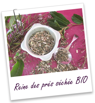 Reine des prés séchée BIO Aroma-Zone