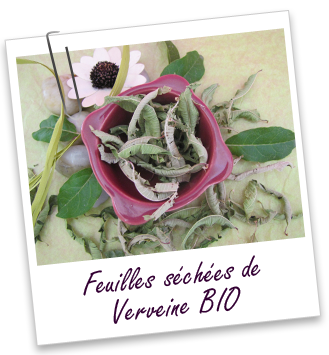 Feuilles séchées Verveine BIO Aroma-Zone