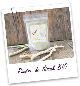 Poudre ayurvédique Siwak BIO Aroma-Zone