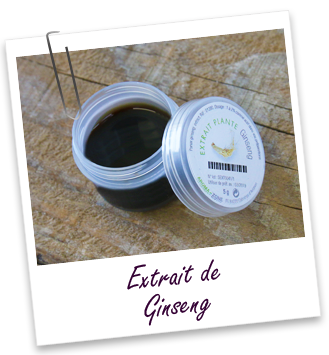 Extrait Ginseng Aroma-Zone Extrait Ginseng Aroma-Zone