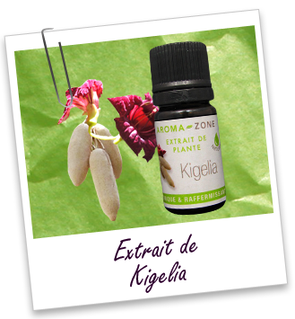 Extrait Kigélia Aroma-Zone Extrait Kigélia Aroma-Zone