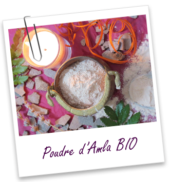 Poudre ayurvédique Amla BIO Aroma-Zone Poudre ayurvédique Amla BIO Aroma-Zone