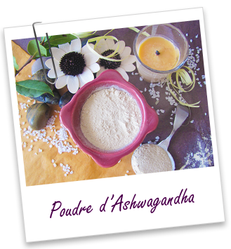 Poudre ayurvédique Ashwagandha BIO Aroma-Zone