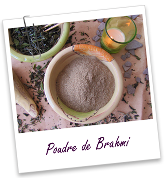 Poudre ayurvédique Brahmi Aroma-Zone