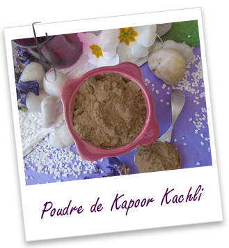Poudre ayurvédique Kapoor Kachli Aroma-Zone