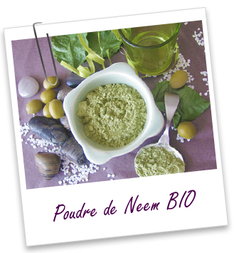 Poudre ayurvédique Neem BIO Aroma-Zone