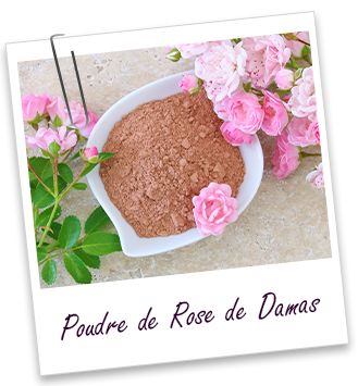 Poudre ayurvédique Rose de Damas Aroma-Zone