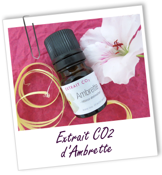 Extrait CO2 Ambrette Aroma-Zone