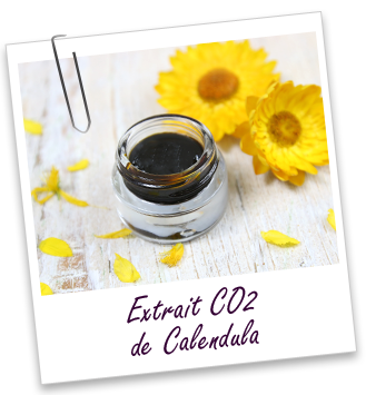 Extrait CO2 Calendula BIO Aroma-Zone