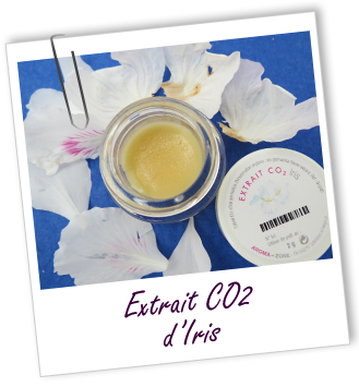 Extrait CO2 Iris Aroma-Zone