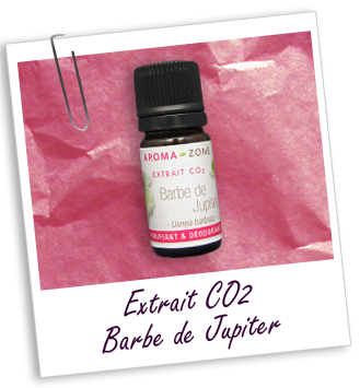 Extrait CO2 Barbe de Jupiter Aroma-Zone