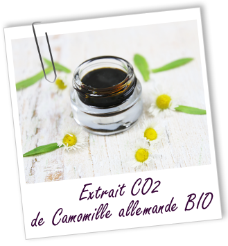 Extrait CO2 Camomille allemande BIO Aroma-Zone