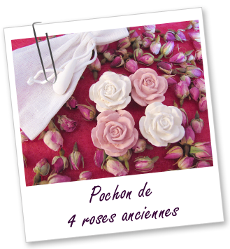 Pochon de 4 roses anciennes Aroma-Zone