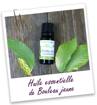 Huile essentielle Bouleau jaune Aroma-Zone