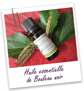 Huile essentielle Bouleau noir Aroma-Zone