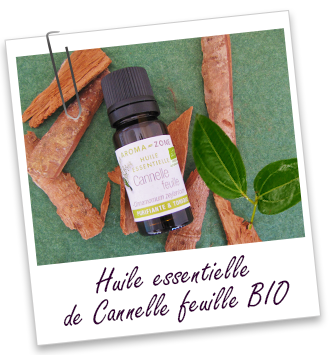 Huile essentielle Cannelle de Ceylan feuilles BIO Aroma-Zone