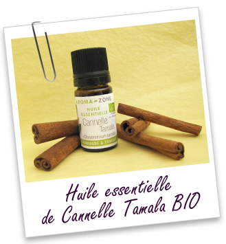 Huile essentielle Cannelle Tamala BIO Aroma-Zone
