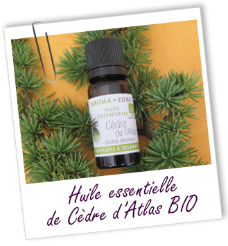 Huile essentielle Cèdre de l'Atlas BIO Aroma-Zone