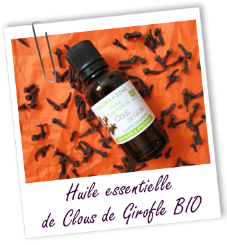 Huile essentielle Girofle Clous BIO Aroma-Zone