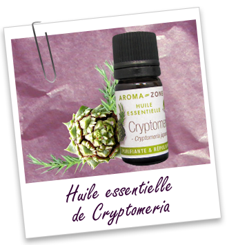 Huile essentielle Cryptomeria Aroma-Zone