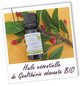 Huile essentielle Gaulthérie odorante BIO Aroma-Zone