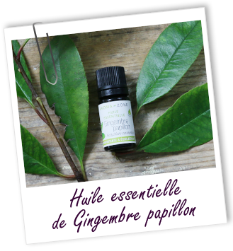 Huile essentielle Gingembre papillon Aroma-Zone