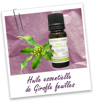 Huile essentielle Girofle feuilles BIO Aroma-Zone