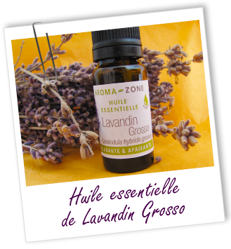 Huile essentielle Lavandin grosso BIO
