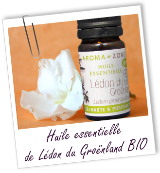 Huile essentielle Lédon du Groënland BIO Aroma-Zone Huile essentielle Lédon du Groënland BIO Aroma-Zone