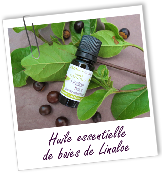 Huile essentielle Linaloe baies Aroma-Zone