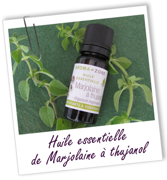 Huile essentielle Marjolaine à Thujanol Aroma-Zone