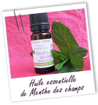 Huile essentielle Menthe des Champs BIO Aroma-Zone