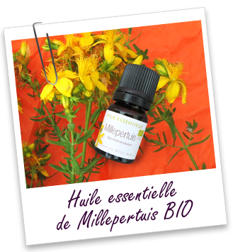 Huile essentielle Millepertuis BIO Aroma-Zone