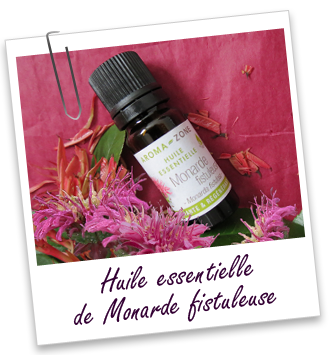 Huile essentielle Monarde Aroma-Zone