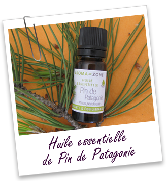 Huile essentielle Pin Patagonie Aroma-Zone Huile essentielle Pin Patagonie Aroma-Zone