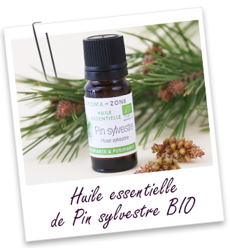 Huile essentielle Pin Sylvestre BIO Aroma-Zone