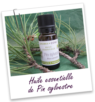 Huile essentielle Pin Sylvestre Aroma-Zone