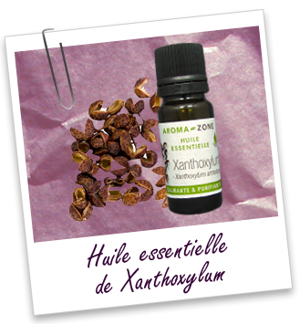 Huile essentielle Xanthoxylum Aroma-Zone Huile essentielle Xanthoxylum Aroma-Zone